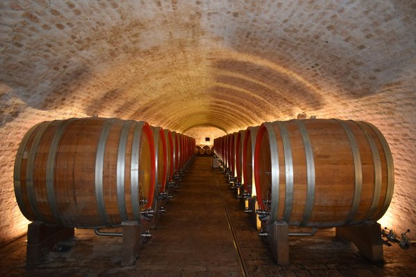 Où séjourner à Porto pour des visites de caves à vin et des croisières sur le Douro?