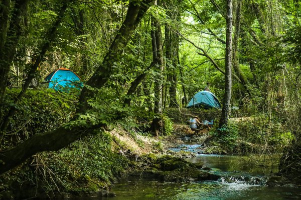 Quelles sont les meilleures techniques pour construire un abri de fortune en camping en forêt tropicale ?